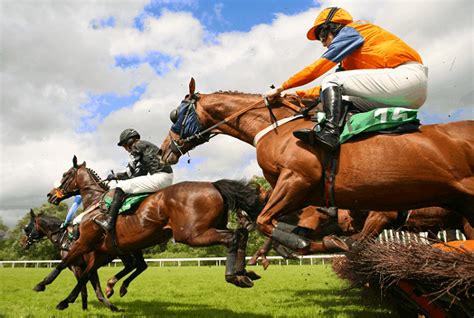 Laying Horses For a Living .